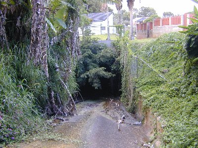 Photo 4. Box culvert inlet at Parkway